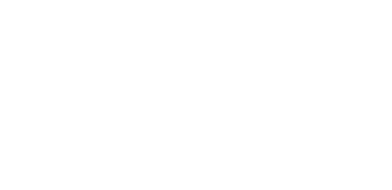 battery health icon