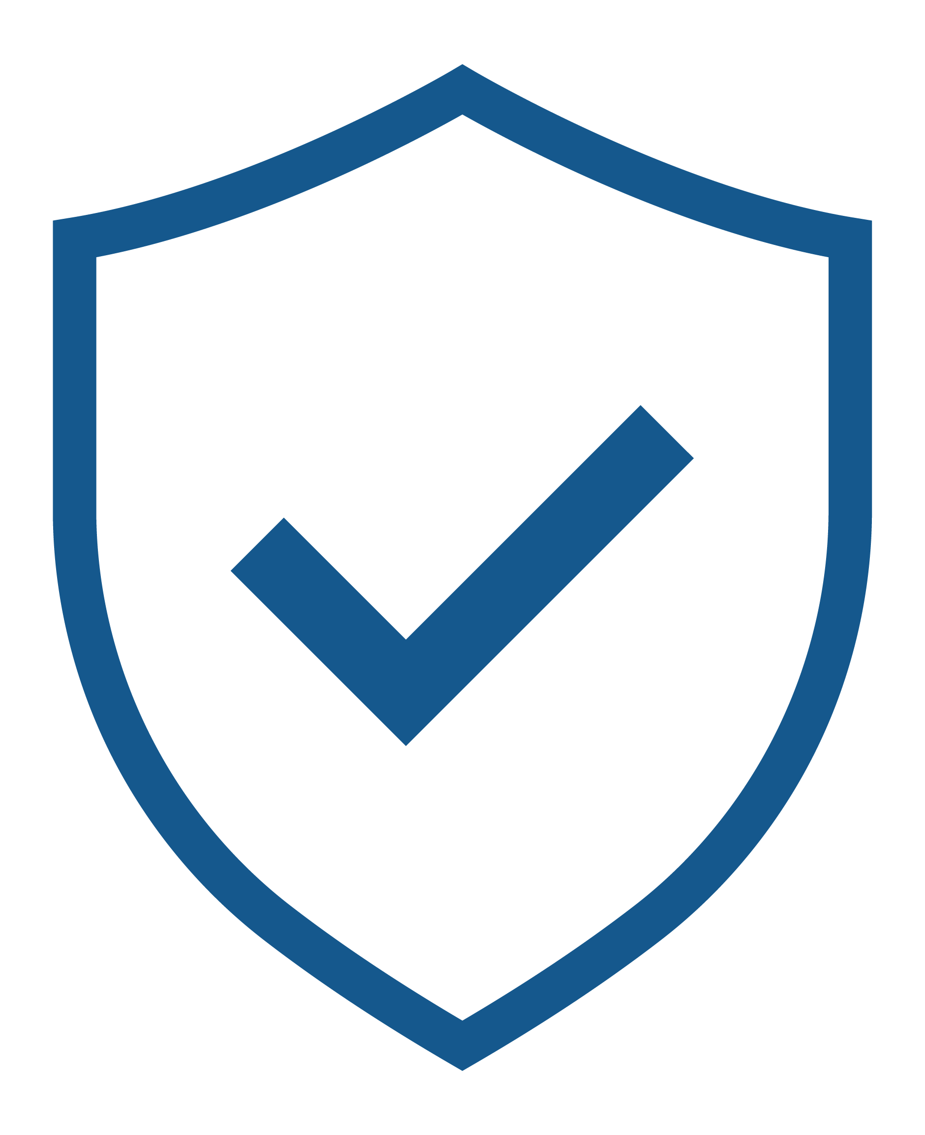 safety icon